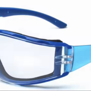 Seal rimmed safety glasses 10 PAIRS