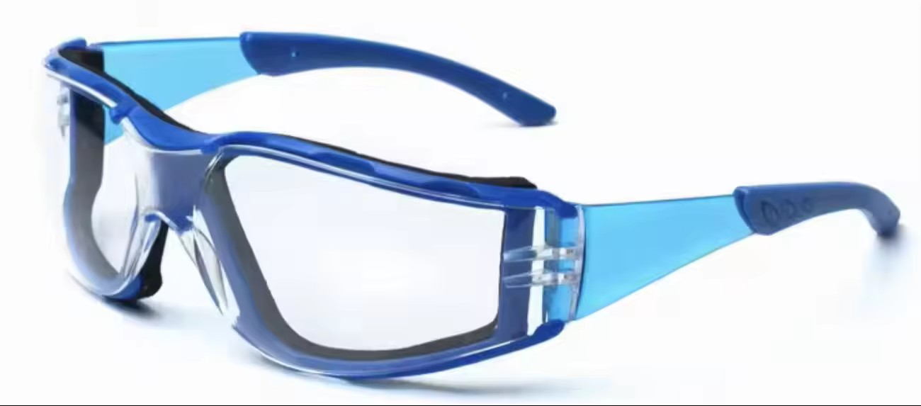 Seal rimmed safety glasses 10 PAIRS